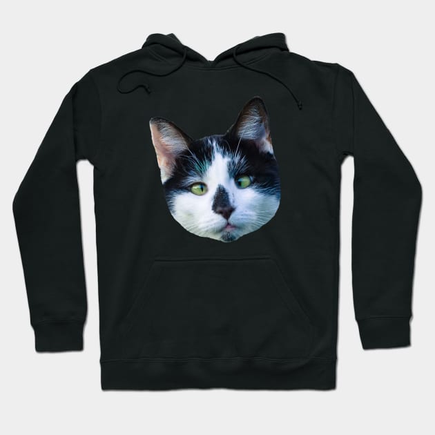 Funny Cat Head Hoodie by VBleshka